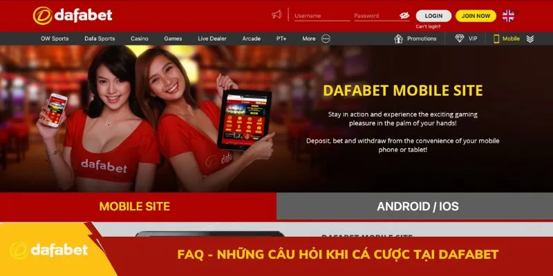 FAQ - Những câu hỏi khi cá cược tại Dafabet
